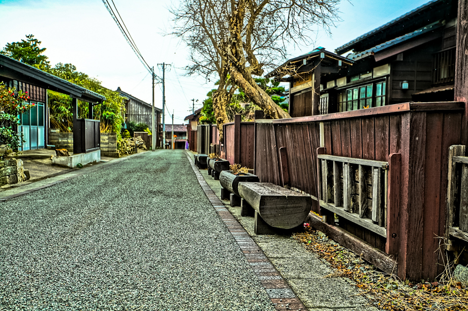 DSC06174.jpg