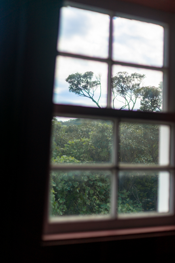 DSC00921.jpg