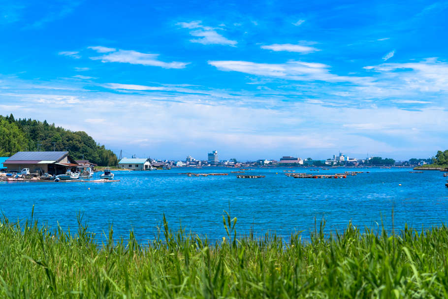 20190731_2702672.jpg