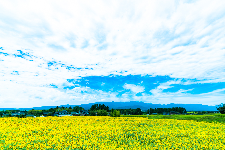 20190809_2709397.jpg