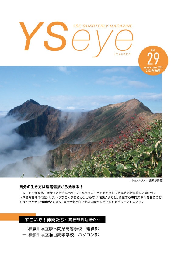 YSeye29