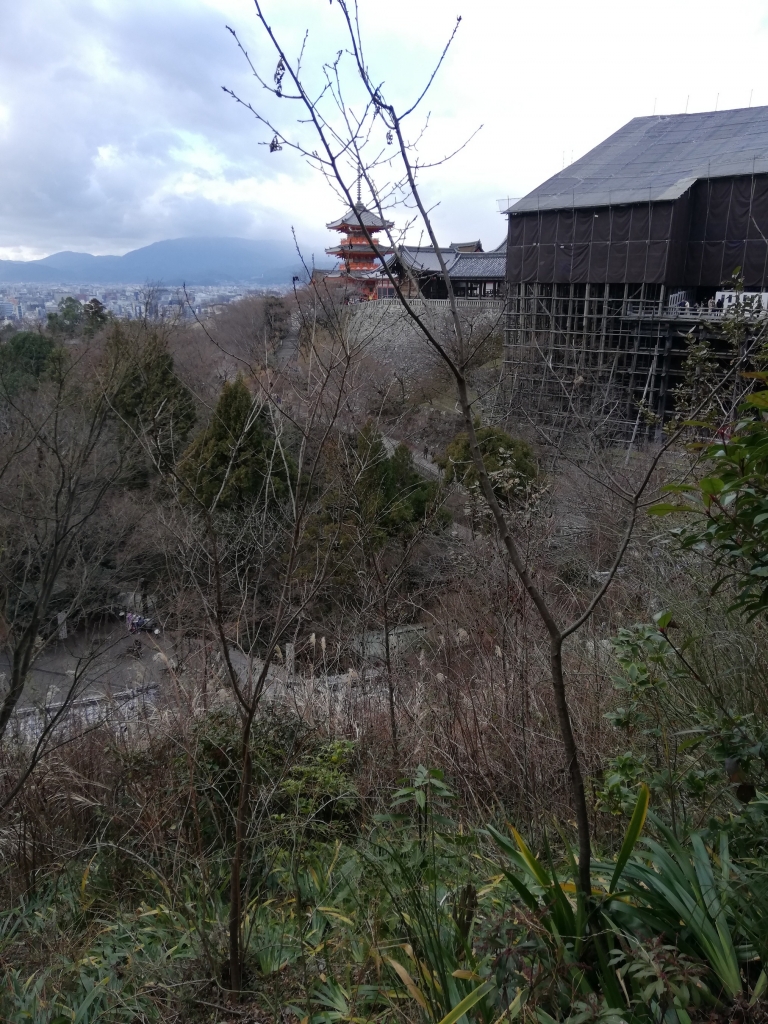 IMG_20190118_144417.jpg