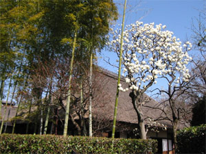 民家園