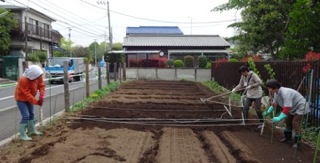 畝づくり