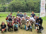 ? 田んぼでぱちり
