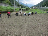 ?大豆種まき
