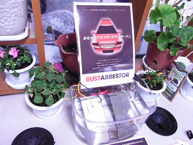 只今、実験中 ヨネザワ