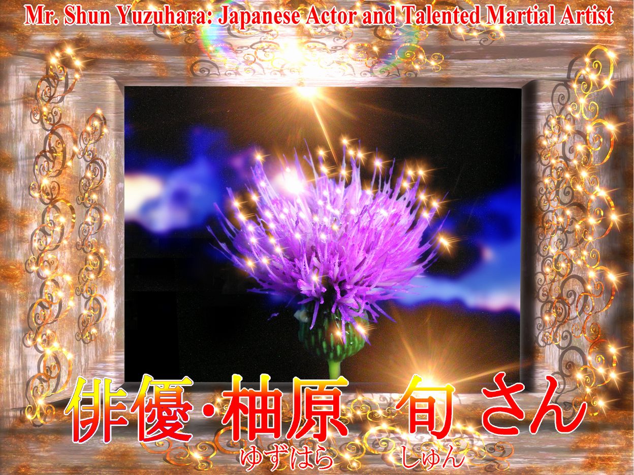 花のノアザミの写真