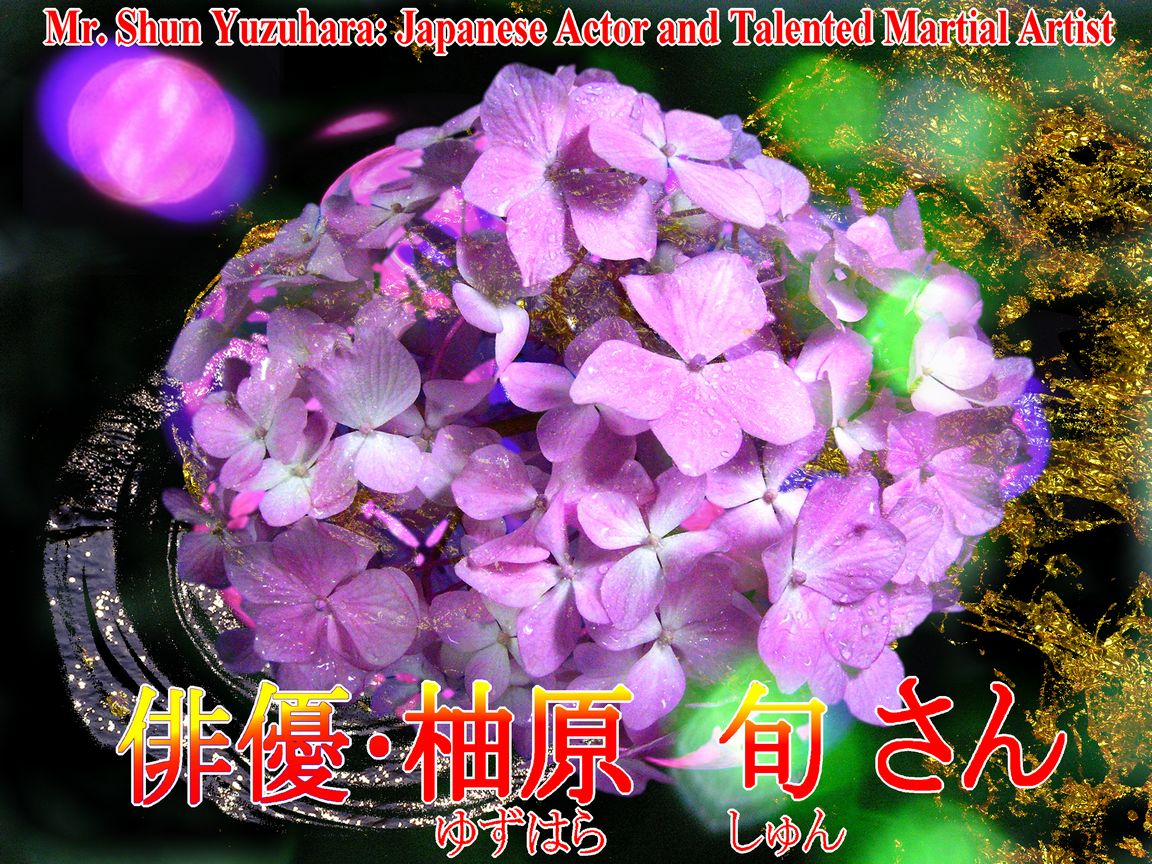 花のセイヨウアジサイの写真