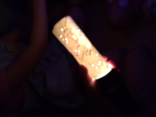 宿泊 自作プラネタリウム? 2014.7.17.JPG