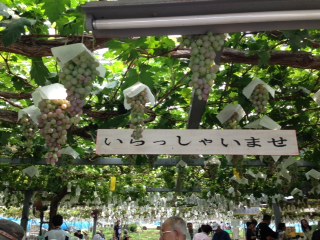 全園児遠足?.JPG