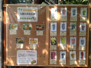 全園児遠足?.JPG