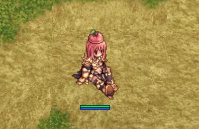 木の実