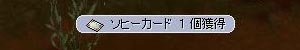 ¥½¥Ò¡¼¥«¡¼¥É