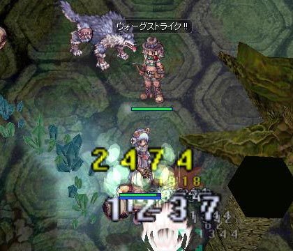 亀2ペア