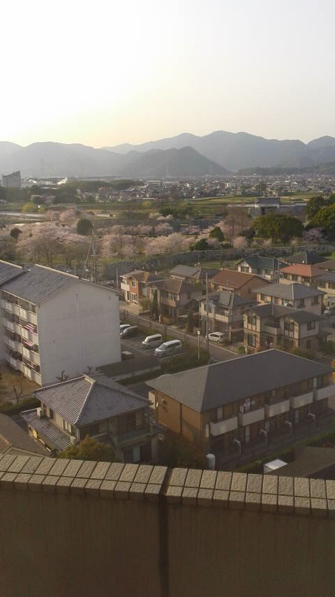 P1000030.jpg