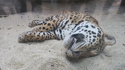 s-20180403-kenshuIMG_6927.jpg