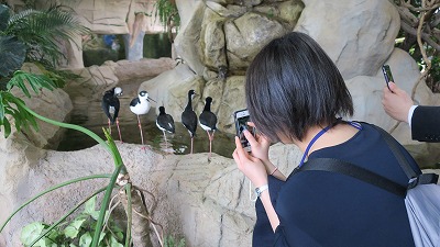 s-20180403-kenshuIMG_6935.jpg