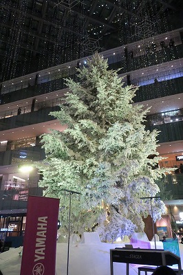 s-20181221-tokyo-xmasIMG_0349.jpg