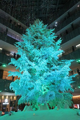 s-20181221-tokyo-xmasIMG_0351.jpg