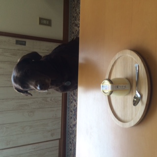 image1.jpeg