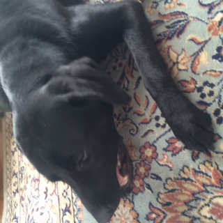image1.jpeg