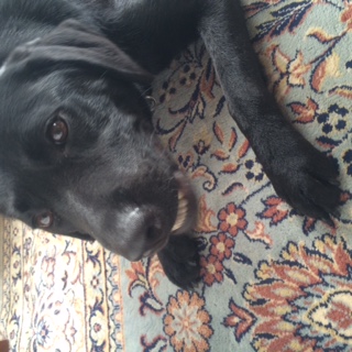 image1.jpeg