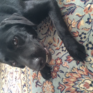image1.jpeg