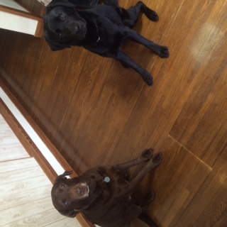 image1.jpeg
