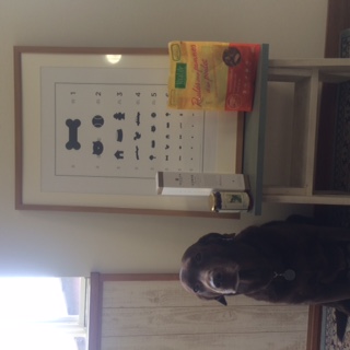 image1.jpeg