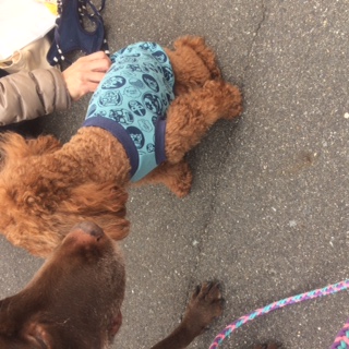 image1.jpeg
