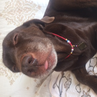 image1.jpeg