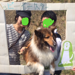 image1.jpeg