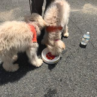 image1.jpeg