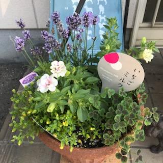image1.jpeg