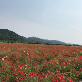 IMG_7114.JPG