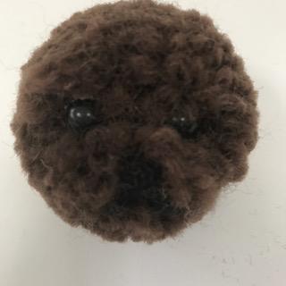 image1.jpeg