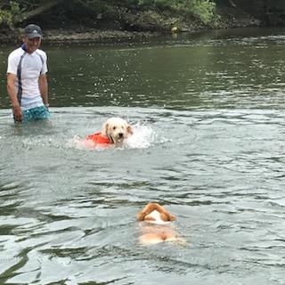 image1.jpeg