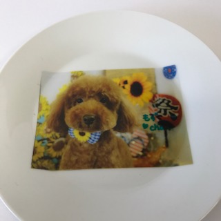 image1.jpeg
