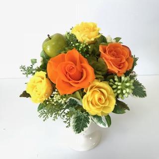 IMG_8362.jpg