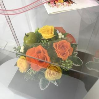 image1.jpeg