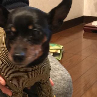 image1.jpeg