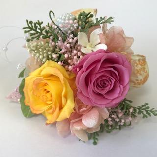 image1.jpeg