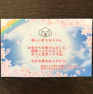 image1.jpeg