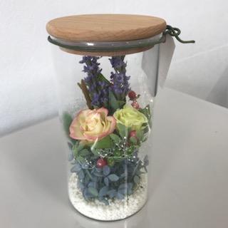 image1.jpeg