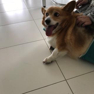 image1.jpeg
