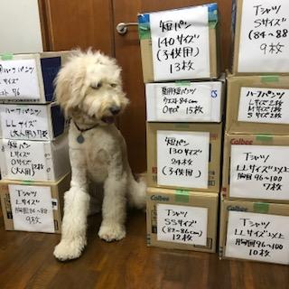 image1.jpeg