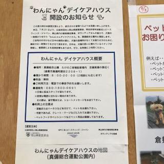 image1.jpeg