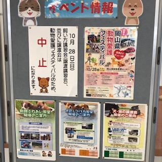 image1.jpeg