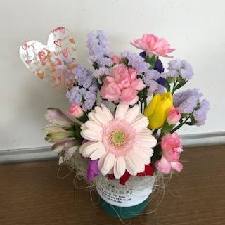 image1.jpeg